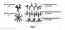 Fig. 02 - Copolymers of fluorinated polydienes and sulfonated polystyrene