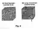 Fig. 11 - Copolymers of fluorinated polydienes and sulfonated polystyrene
