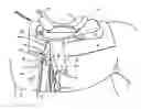 Fig. 01 - Saddle fender bender