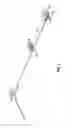 Fig. 02 - Energy absorber for horizontal lifeline system