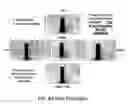 Fig. 09 - Methods and configurations for manufacturing hinges for micro-mirror devices
