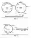 Fig. 05 - Dual antigen specific T cells with trafficking ability