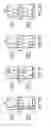 Fig. 08 - Dual antigen specific T cells with trafficking ability