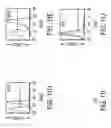Fig. 12 - Dual antigen specific T cells with trafficking ability
