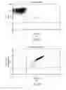 Fig. 25 - Dual antigen specific T cells with trafficking ability