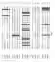Fig. 03 - Hyaluronan synthase gene and uses thereof