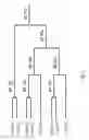 Fig. 06 - Hyaluronan synthase gene and uses thereof