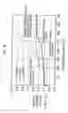 Fig. 07 - Non-aqueous electrolyte battery