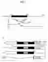 Fig. 02 - RNA-binding protein