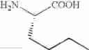 Fig. 331 - Alpha-4 beta-1 integrin ligands for imaging and therapy