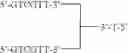Fig. 49 - Modulation of immunostimulatory properties of oligonucleotide-based compounds by optimal presentation of 5′ ends