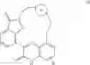 Fig. 02 - Quinoxalinone derivatives