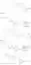 Fig. 15 - Biphenyloxy-acids