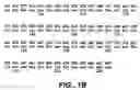 Fig. 03 - Xylanase, microorganisms producing it, DNA molecules, methods for preparing this xylanase and uses of the latter