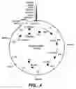 Fig. 07 - Xylanase, microorganisms producing it, DNA molecules, methods for preparing this xylanase and uses of the latter