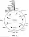Fig. 10 - Xylanase, microorganisms producing it, DNA molecules, methods for preparing this xylanase and uses of the latter