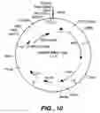 Fig. 13 - Xylanase, microorganisms producing it, DNA molecules, methods for preparing this xylanase and uses of the latter