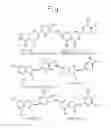 Fig. 02 - Gene encoding a protein having aurone synthesis activity