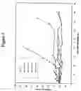 Fig. 07 - Therapy-enhancing glucan
