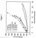 Fig. 08 - Therapy-enhancing glucan