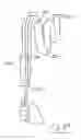 Fig. 49 - Evertable insertion tube for colonoscope