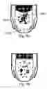 Fig. 10 - Absorbent articles having wetness-indicating character graphics providing an interactive training aid