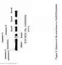 Fig. 12 - Cytokinin oxidase sequences and methods of use