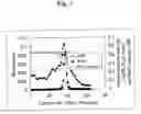 Fig. 08 - Neutral phenol oxidase