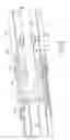 Fig. 07 - Device for wringing out the material of domestic cleaning tools known as mops