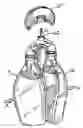 Fig. 01 - Multi-chambered drink bottle