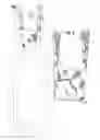 Fig. 02 - Universal Suspended Collapsible Interframe Carrier for Bottles, Cups, Beverages and Sundries for Wheeled Luggage, and Method