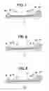 Fig. 06 - Fuel injection valve having small sized structure