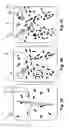 Fig. 02 - System, apparatus, and method for increasing particle density and energy by creating a controlled plasma environment into a gaseous media