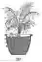 Fig. 02 - Novelty moisture detector for plants
