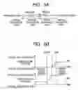 Fig. 07 - Controlling apparatus for photographing system