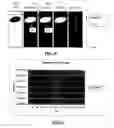 Fig. 19 - Optical tomography of small objects using parallel ray illumination and post-specimen optical magnification