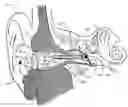 Fig. 01 - Transducer for electromagnetic hearing devices