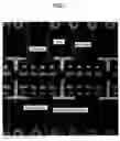 Fig. 02 - Printed circuit substrate appearance inspection method, printed circuit substrate appearance inspection program and printed circuit substrate appearance inspection apparatus