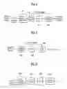 Fig. 06 - Terminal and method for transporting still picture
