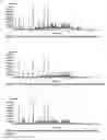 Fig. 02 - Potent immunostimulatory extracts from microalgae
