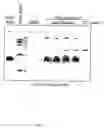 Fig. 09 - Compositions and methods for binding agglomeration proteins