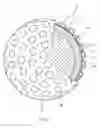 Fig. 02 - Golf ball