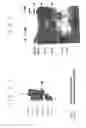 Fig. 18 - Vascular endothelial growth factor 2