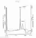 Fig. 19 - Vascular endothelial growth factor 2