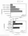 Fig. 20 - Vascular endothelial growth factor 2