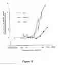 Fig. 24 - Vascular endothelial growth factor 2