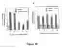Fig. 27 - Vascular endothelial growth factor 2