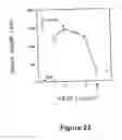 Fig. 30 - Vascular endothelial growth factor 2