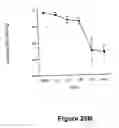 Fig. 37 - Vascular endothelial growth factor 2