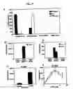 Fig. 03 - Compositions comprising immunostimulatory siRNA molecules and DLinDMA or DLenDMA